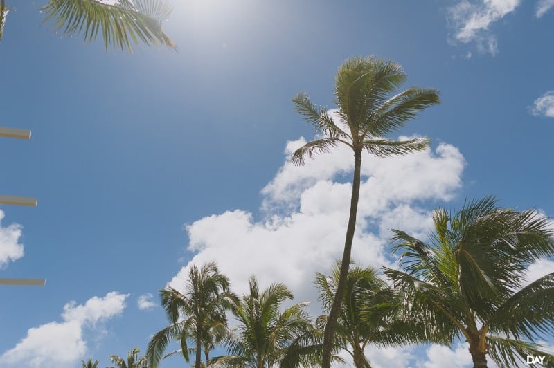 Kahala resort desination wedding