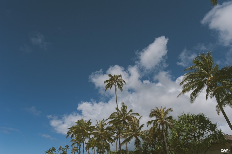 Kahala resort desination wedding