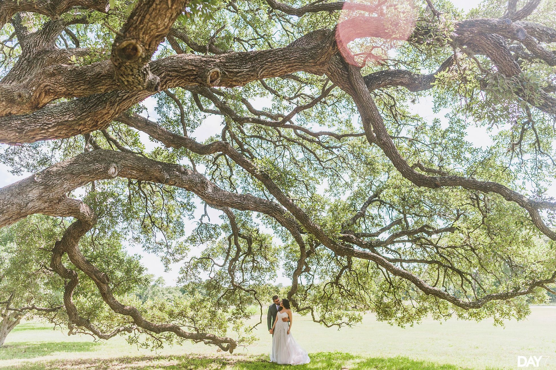 Austin Wedding Photographer