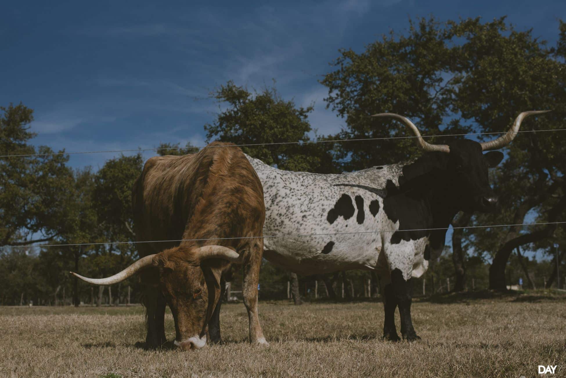 Ranch Austin Wedding Photography01