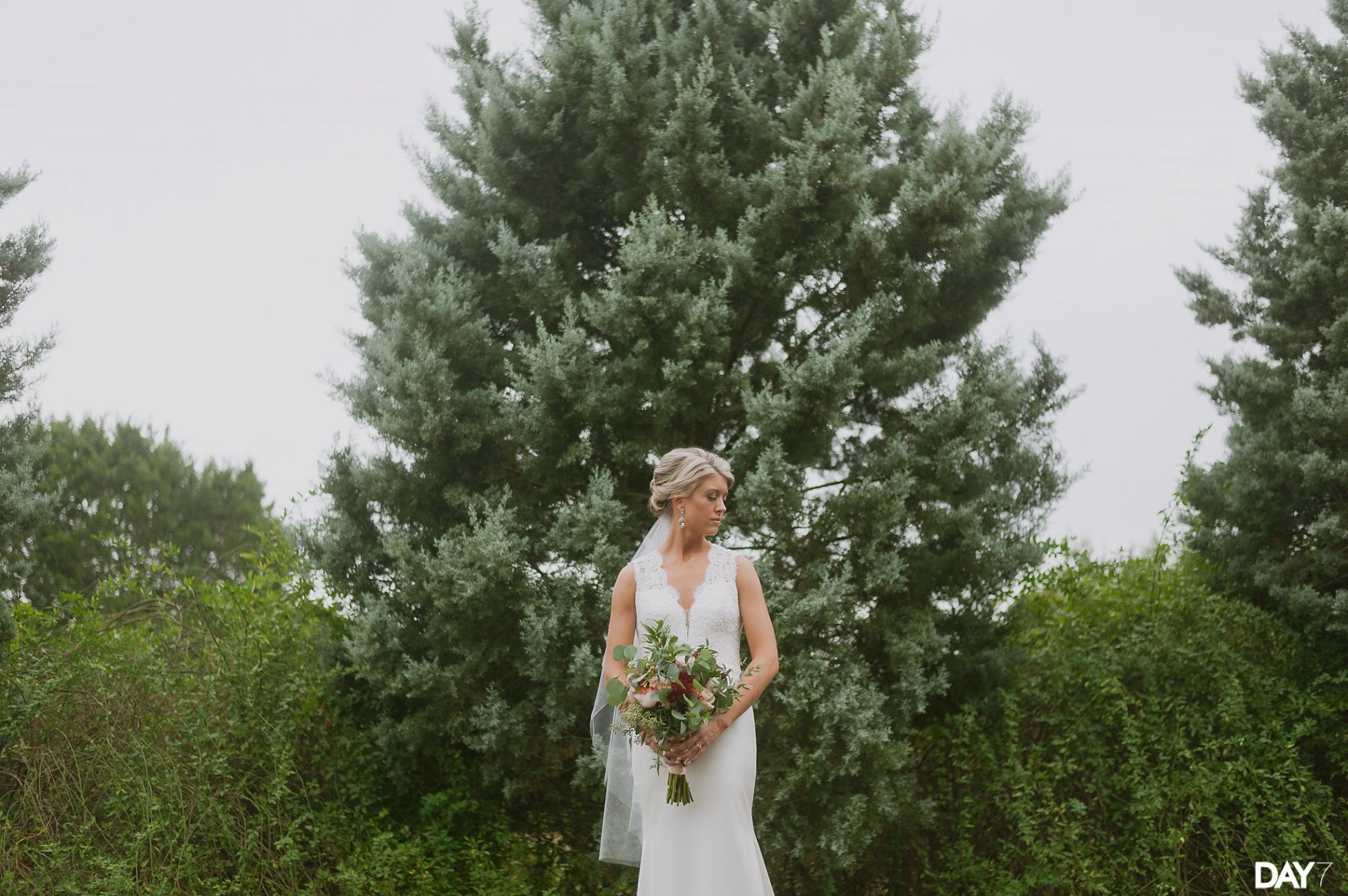 Antebellum Oaks Wedding Photos