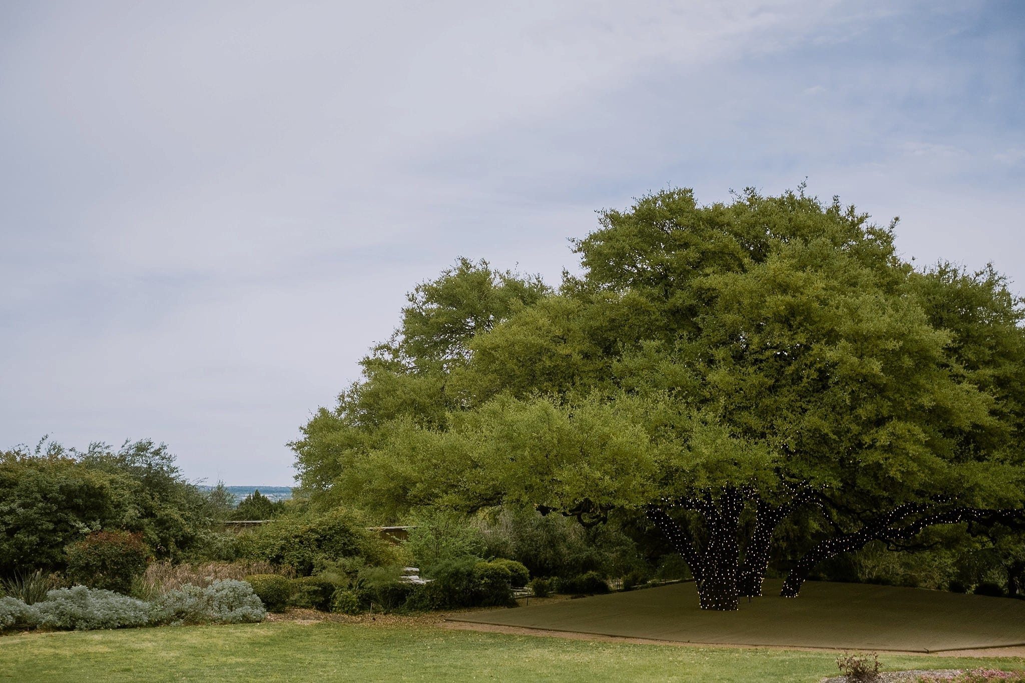 Antebellum Oaks Wedding Photographer