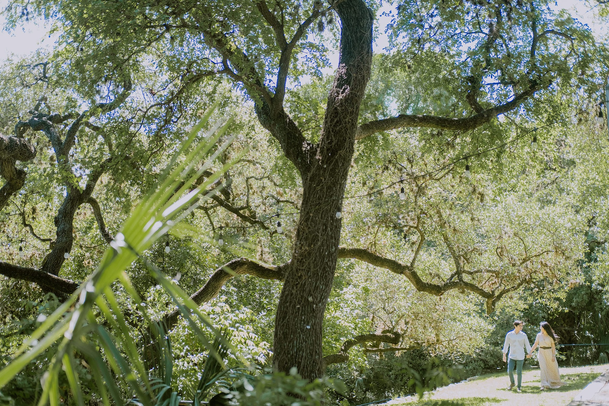 Laguna Gloria Engagement Photography